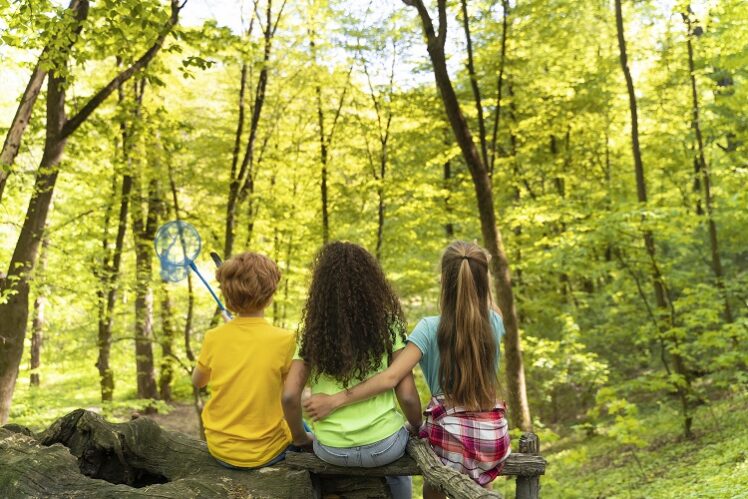 Campamento de verano multiaventuras en Asturias